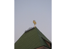 07.04.2008 1:37:40