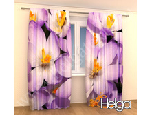 ����� ������� ���. 2093.jpg