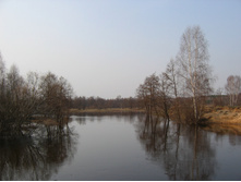 07.04.2008 13:08:47