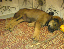 DSC00214.JPG