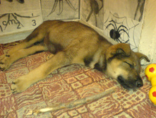 DSC00217.JPG