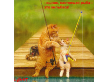 17.04.2008 10:51:06