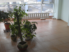IMAG0129.jpg
