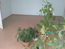 IMAG0131.jpg