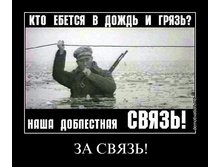 5u76ysst1nrp.jpg