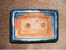 SDC11946.JPG