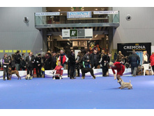 2013_01_13_7382.JPG
