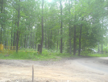 15.06.2010 23:38:55