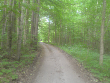 15.06.2010 23:56:20