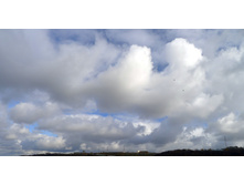 P1000178_.JPG