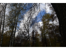 P1000183_.JPG
