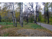 P1000185_.JPG