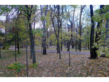 P1000186_.JPG