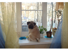 DSC08739.JPG