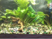 ����-0034.jpg