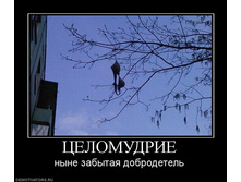 12.02.2011 17:44:53