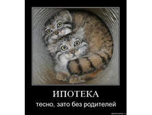 12.02.2011 17:51:07