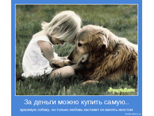 3e732590907698e571499037cd1_prev.png