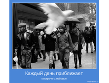 8982f5a5a2fc46f55f0161ed547_prev.png