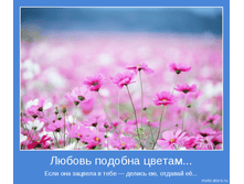 9500ce64930feb0c38721de6666_prev.png