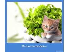 b71658da421770758f0e2daf03b_prev.png