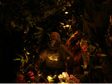 DSC00614.JPG