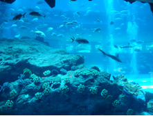 DSC00623.JPG