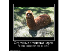 Demotivators_1�1.jpg