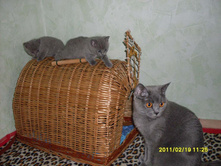 SDC10746.JPG