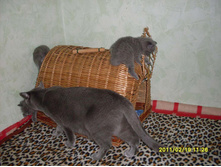 SDC10750.JPG