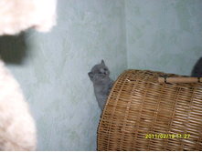 SDC10754.JPG