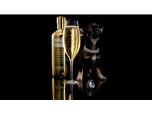 Absolut Gold