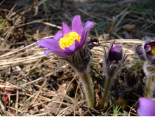 DSCF0726.jpg