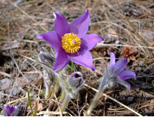 DSCF0738.jpg