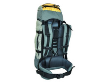 ������-60 V2 yellow back.jpg