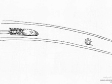 r (9).jpg