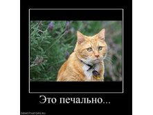 394288_eto-pechalno.thumbnail.jpg