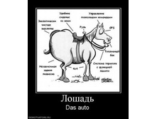228192_loshad.thumbnail.jpg