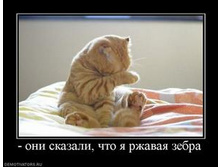 246374_-oni-skazali-chto-ya-rzhavaya-zebra.thumbnail.jpg