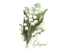 1971__8_�����_(�199).JPG
