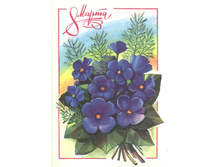 1978__8_�����_(�214).JPG