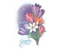 1979__8_�����_(�216).JPG