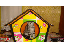 DSC03790.JPG