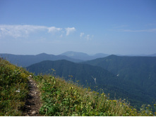 P1000550.JPG