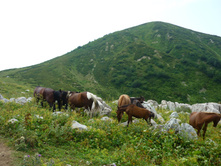 P1000577.JPG