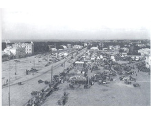 23264319-pg29.jpg