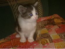 01032011060.jpg
