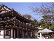 File0268.jpg