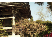 File0269.jpg