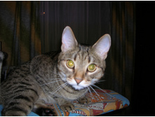 DSCN3334.JPG